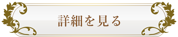 詳細を見る